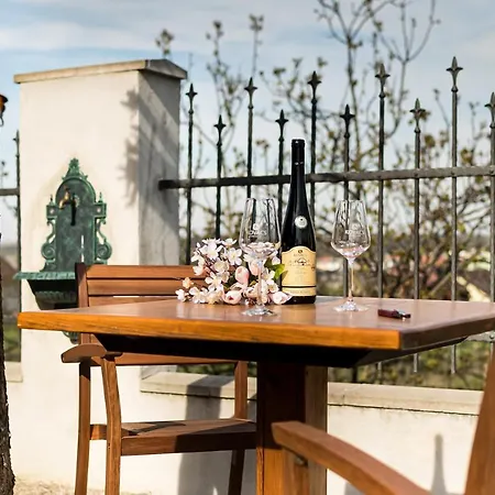 Kovacs 招待所 Novosedly (Breclav)