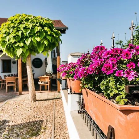 Guest house Kovacs *